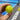 Train Smarter Anywhere with BZER Mini Pickleballs