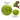 BZER Mini Pickleballs – Precision Training Balls | Pickleball Corner Singapore